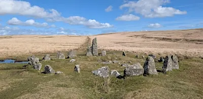 Dartmoor Stone Circle Guided Walk
