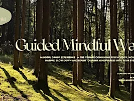 Guided Mindful Walk in the Veluwe