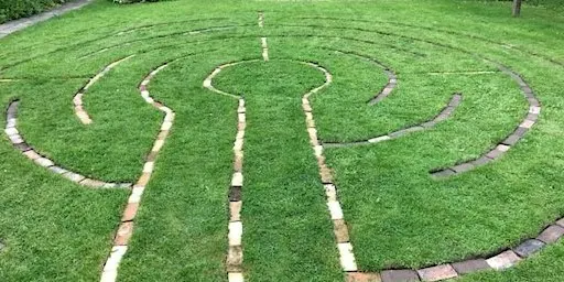 A Winding Journey