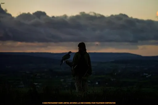 Book to Film Club: H is for Hawk at Southwell Library