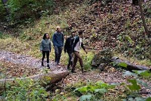 Twilight Tales: Autumn Nature Hike