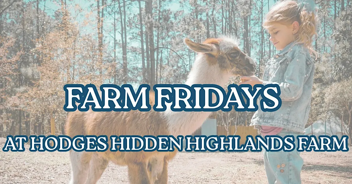Farm Fridays l Hodges Hidden Highlands Farm | Florida