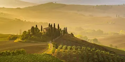 Zachys Cellar School: Super Tuscan Night: Which One Doesn't Belong?