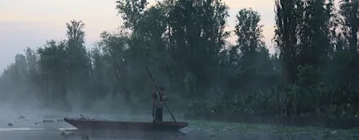 Hidden Xochimilco: Sunrise Canoe, Living Chinampas & Local Flavors