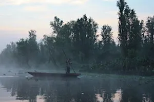Hidden Xochimilco: Sunrise Canoe, Living Chinampas & Local Flavors