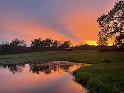 Still Rise Farms Wellness Retreat