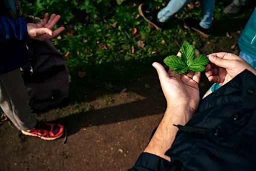 Atelier pratique plantes pérennes au jardin / Workshop meerjarige planten