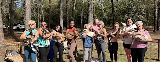 Baby Goat Yoga