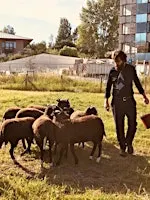 Ville-Campagne : visite des dernières prairies intra urbaines de Bruxelles