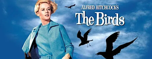 The Birds - Cult Classics