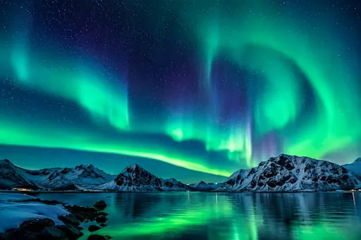 Nights Beneath the Aurora Christmas Party Nights