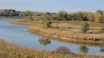 Steps with Dr Lexi & Spark Society: Buffalo Creek Nature Preserve