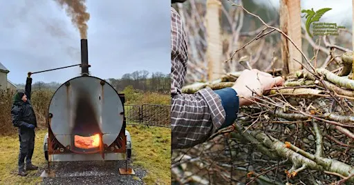 Hedge Laying & Charcoal Making Course | Cwrs Gosod Gwrychoedd a Gwneud Siar