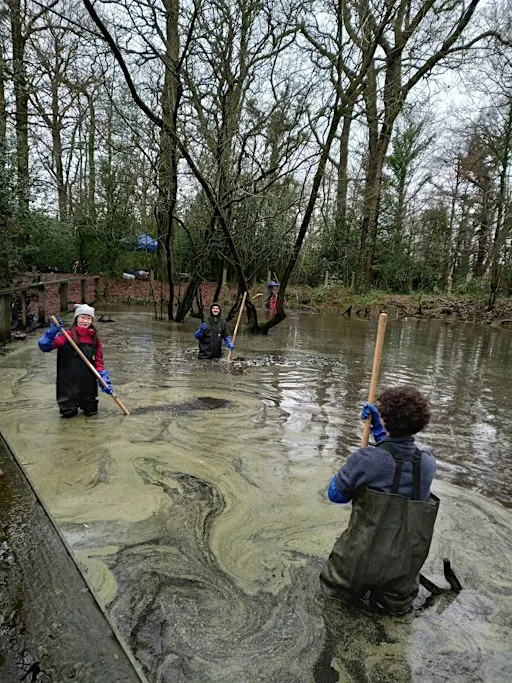 Citizen Forester Pond & Ditch Management at Big Wood, Manchester