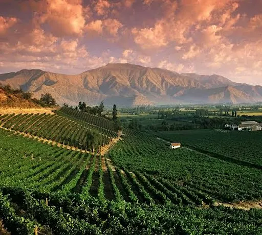 VINcabulary : Exploring South America