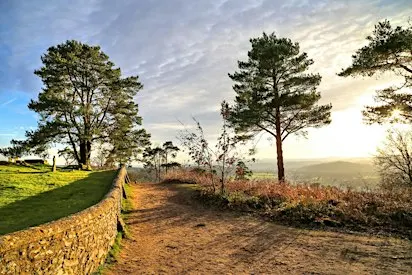 18km Hidden Surrey Hills - Canals, Woods, Sandy Trails, Medieval Churches