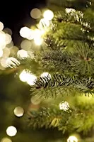 Christmas Table Decoration Workshop