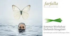 Duftende Süssgräser (*aa)