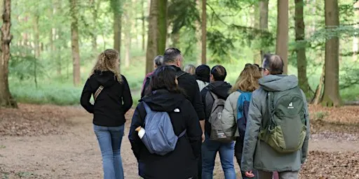 Step & Sweat Veluwe (Posbank) met de Walk Club