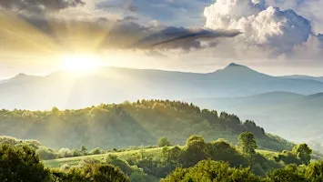 Sustainability for competitiveness: Insights from business leaders