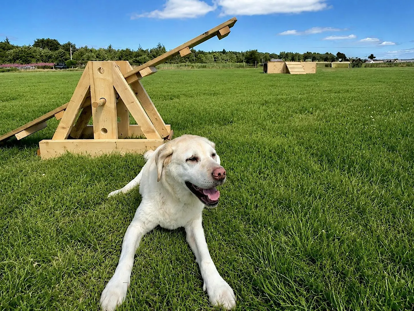 Culloden Visitor Centre Dog Park