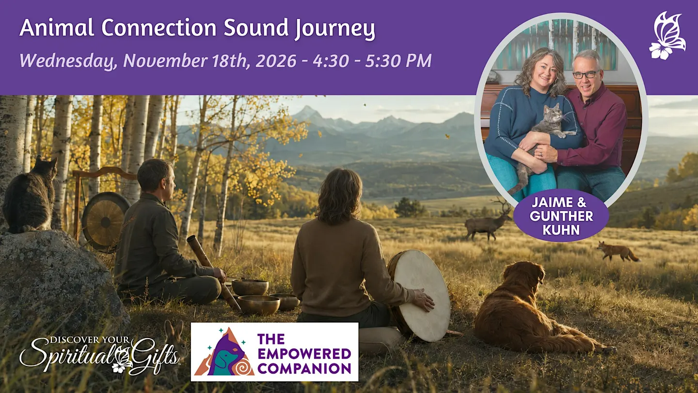 Animal Connection Sound Journey