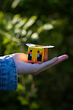 Coding - Bee Pollination, ages 8 to 12