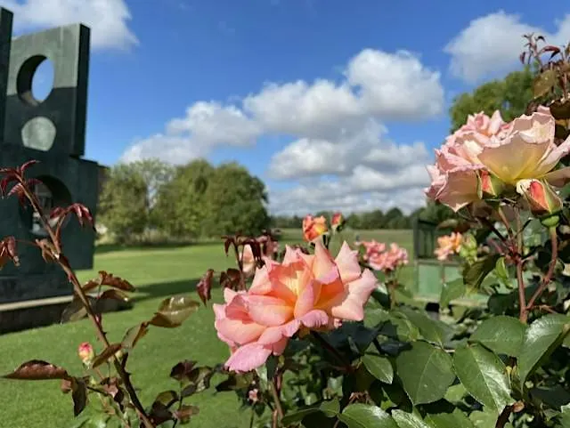 Churchill College Garden Tour