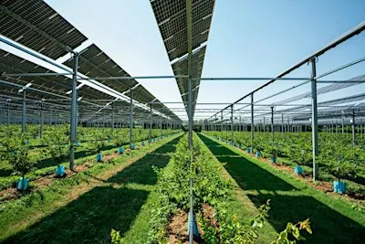 Growing Community Energy | Presentation