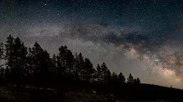 Stargazing at Miller Woods (New Moon/Dark Skies)