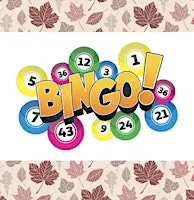 Bingo Night Fundraiser