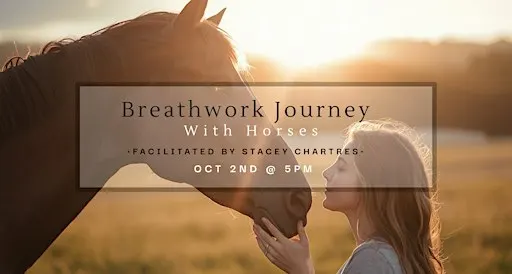 Breathwork with Horses