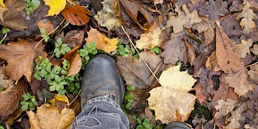 Autumn Stroll - Sutton Courtenay, Saturday 17 October