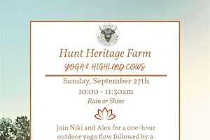 Yoga and Highland Cows