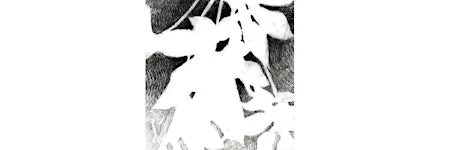 LET'S GET POSITIVE WITH NEGATIVE DRAWING:Saturday, November 7, 1:00-4:00pm
