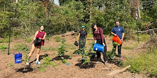 FOPOS Land Stewardship Volunteer Day // Sunday, October 18th