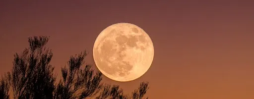 Full Moon: Cacao Ceremony