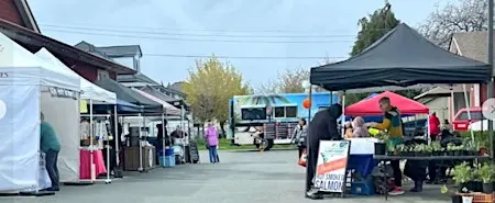 Virginia Beach Coastal Market: Food Trucks, Vendors & Artisan Experience