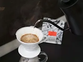 V-60 Brewer Exploration