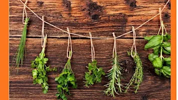 Native Culinary Herbs