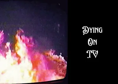 Dying on TV LIVE!: Shaymin, Rykener, The Undead Cat and IJ
