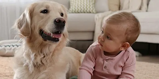 Dogs, Babies & Toddlers: Creating a Safe & Happy Home - Seaford Library