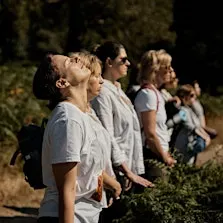 The Wild Pause: A Mindfulness in Nature & Forest Bathing Experience