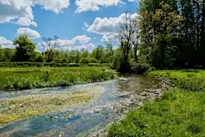Pilgrim River