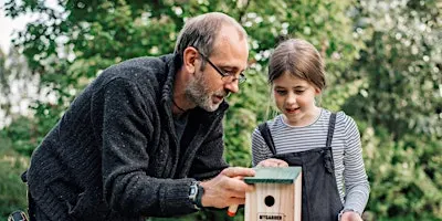 Bat Box Making Session 2