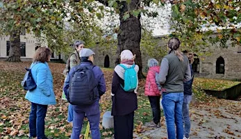 Premiers pas dans l’encodage naturaliste