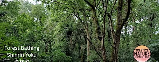 Forest Bathing+ at Allestree Park
