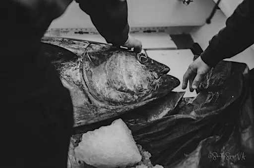 Tribute to our Fishery —A Photography Exhibit by ShutterSpeed