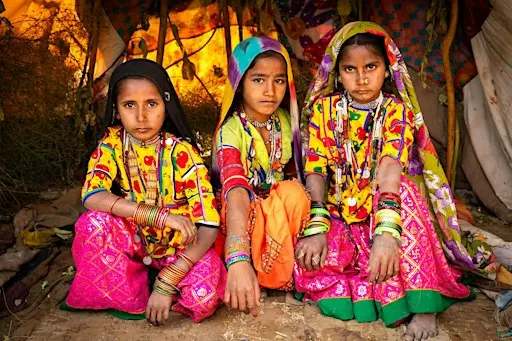 Nomadic Lives of India