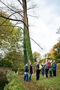 A la découverte des arbres du parc de Tours et Taxis / Op ontdekkingstocht naar de bomen in het park van Tours en Taxis